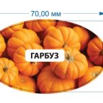 Стикер Тыква