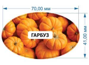 Стікер “Гарбуз”