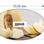 Стікер Диня