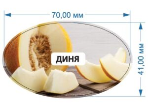 Стікер “Диня”