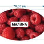 Стікер Малина