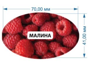 Стікер “Малина”