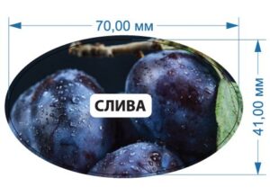 Стікер “Слива”