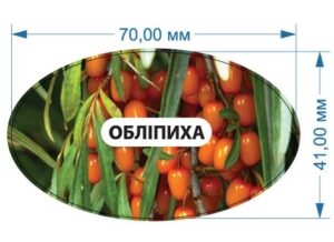 Стікер “Обліпиха”