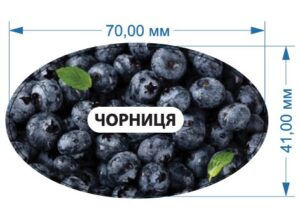 Стікер “Чорниця”