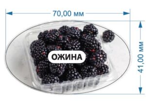 Стікер “Ожина”