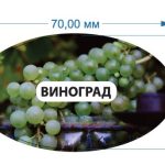 Стікер Виноград