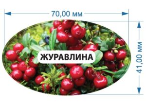 Стікер “Журавлина”