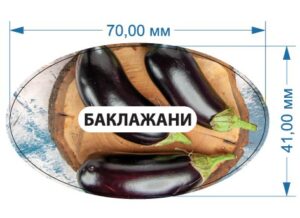Стікер “Баклажани”