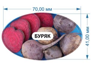 Стікер “Буряк”