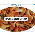 Стікер Гриби лисички