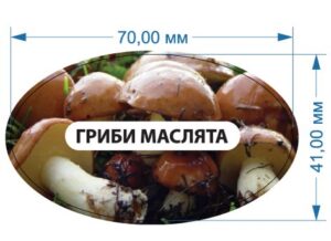 Стікер “Гриби маслята”
