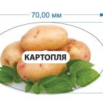 Стикер Картошка