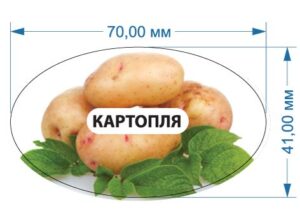 Стікер “Картопля”