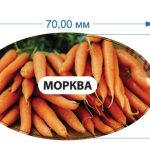 Стікер Морква