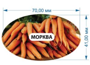 Стікер “Морква”