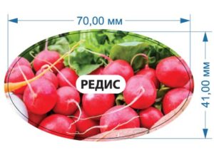 Стікер “Редис”
