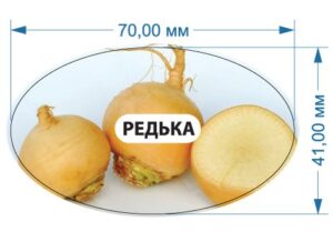 Стікер “Редька”