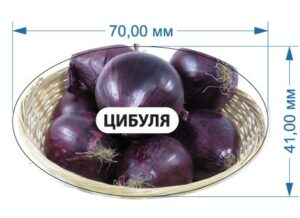 Стікер “Цибуля” (синя)