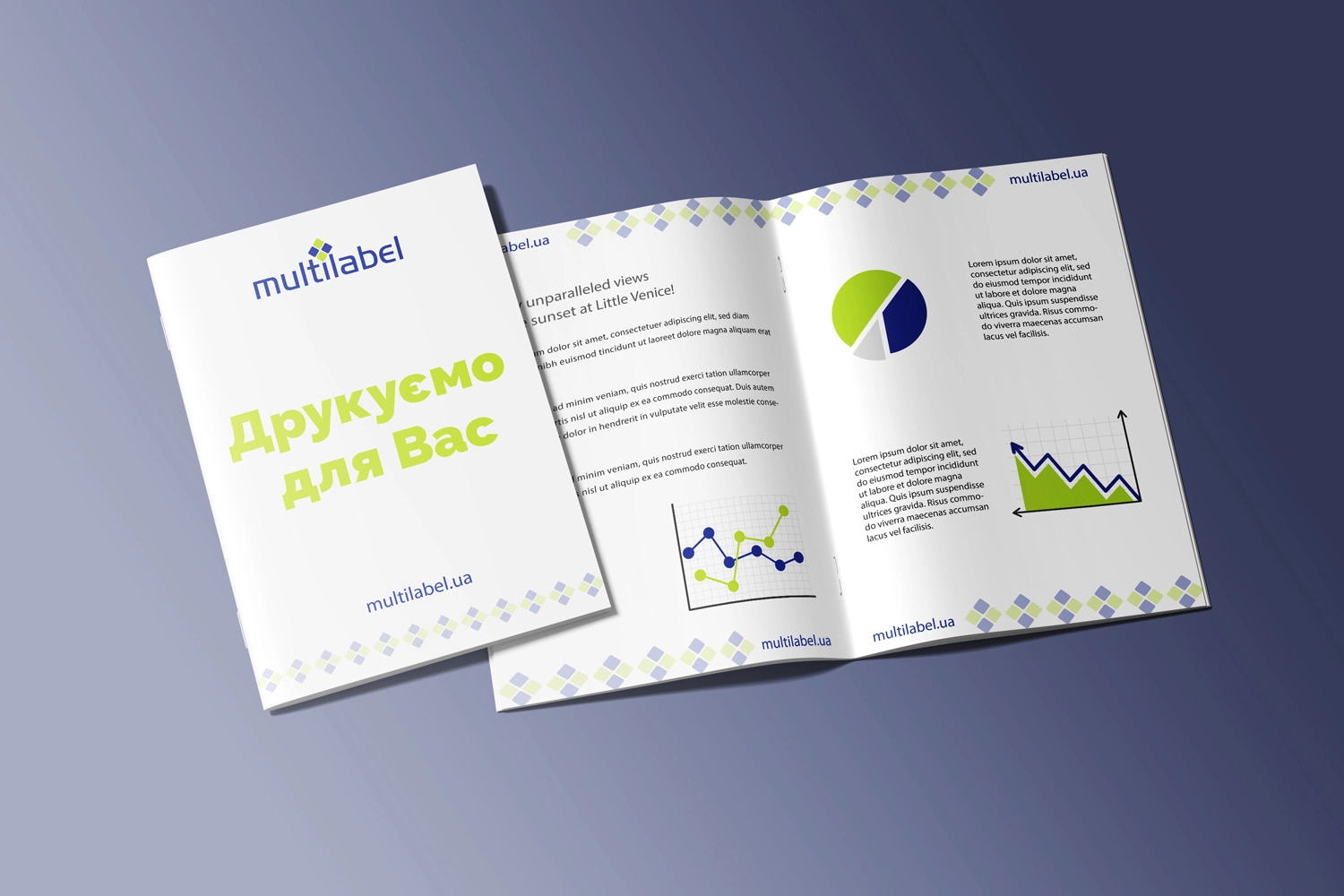 MULTILABEL